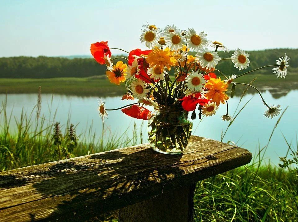 ☀️ Лето заканчивается каждый год, и в этом нет ничего неожиданного. И всё же ближе к ко...