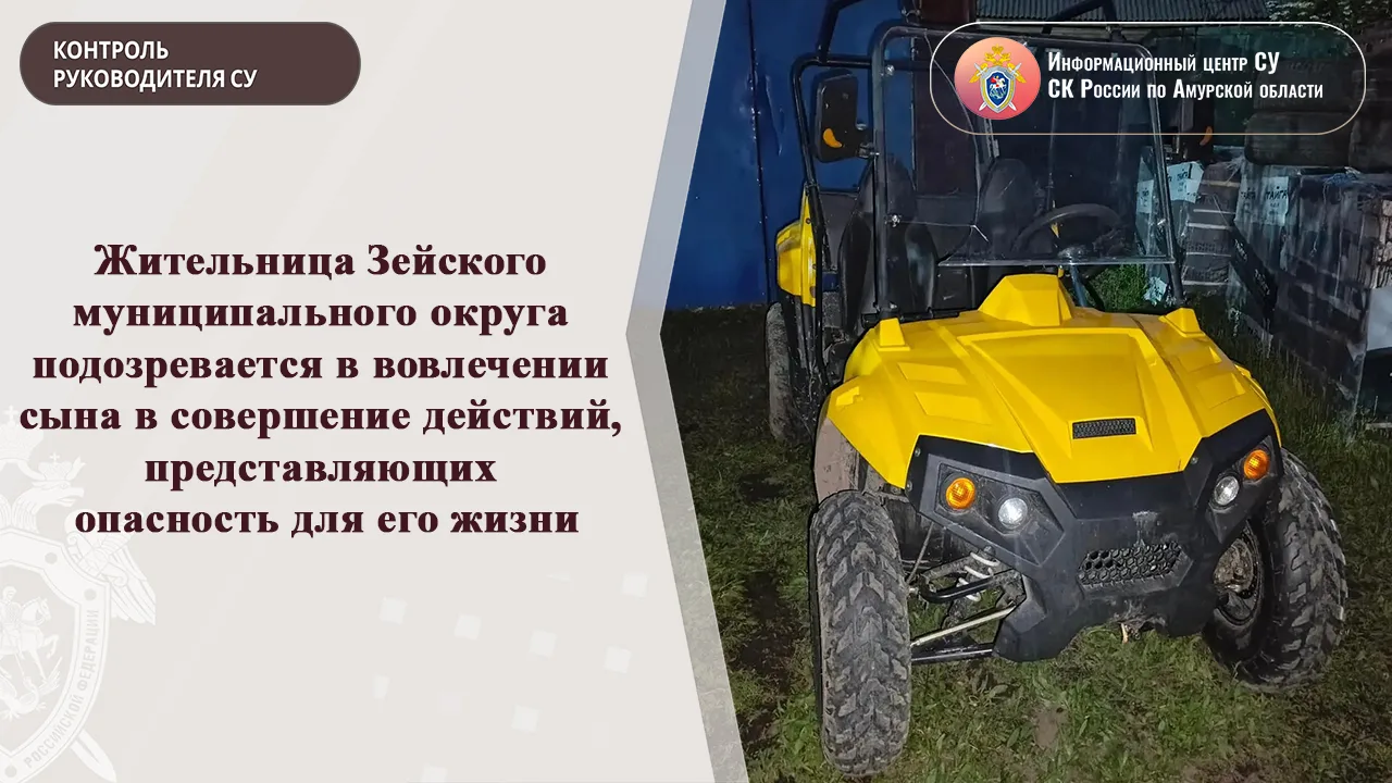 Жительница Зейского муниципального округа подозревается в вовлечении сына в совершение ...