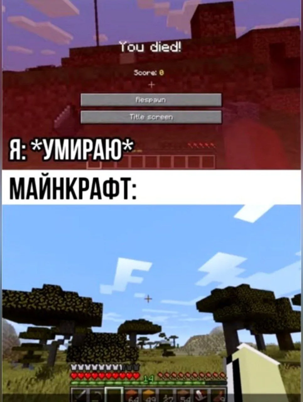 🤣