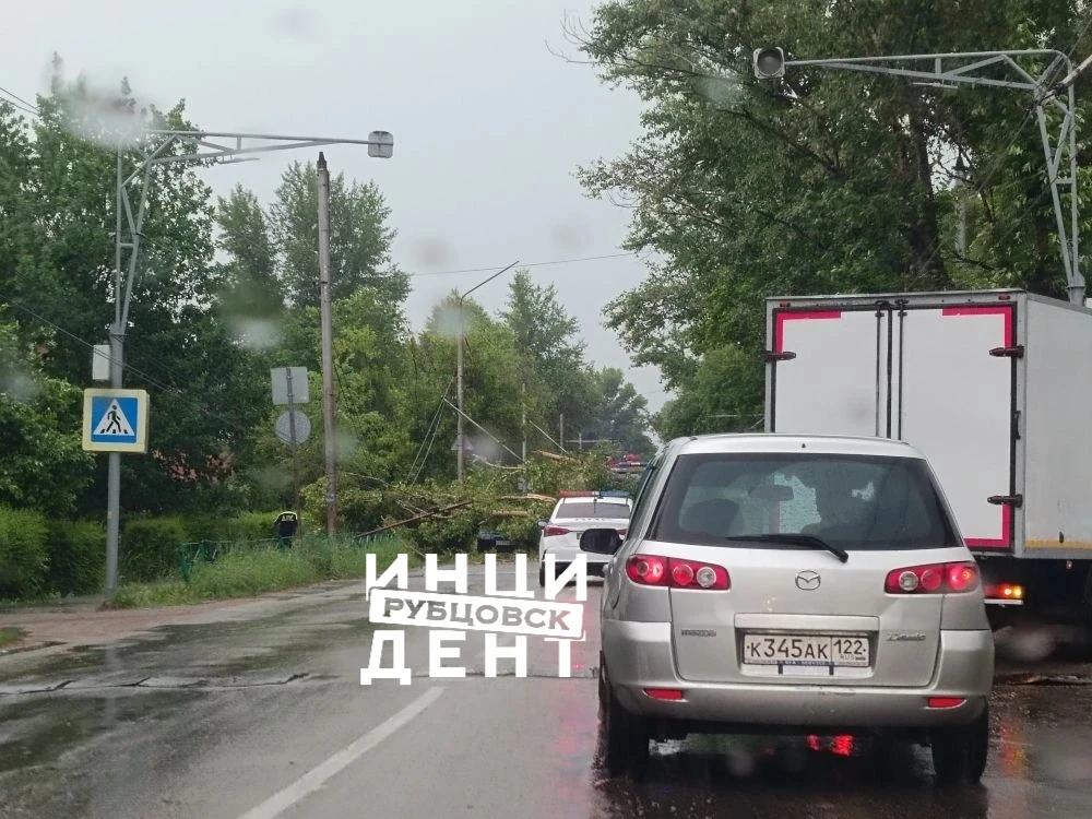 ❗ В результате ураганного ветра повалило деревья на ул. Комсомольской в районе вокзала ...