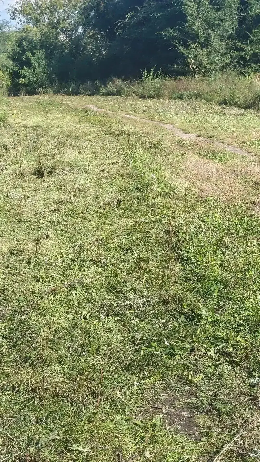 На страже безопасности наших детей 🚸