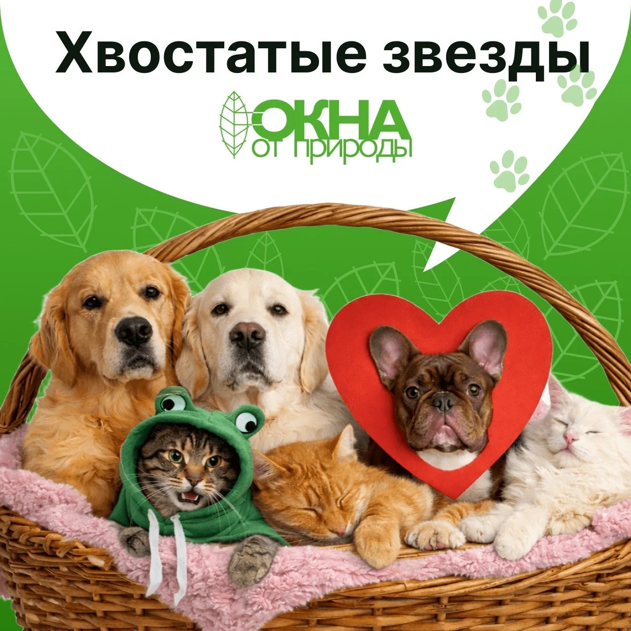 Чужие питомцы хорошо, но свои еще лучше😁