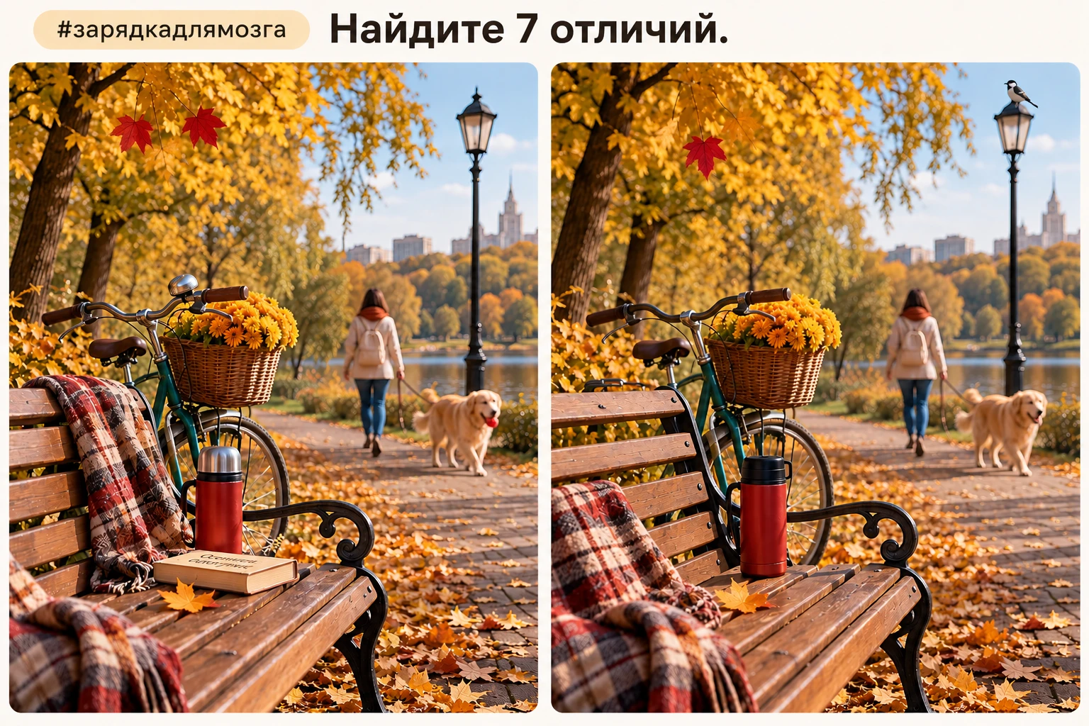 #зарядкадлямозга
