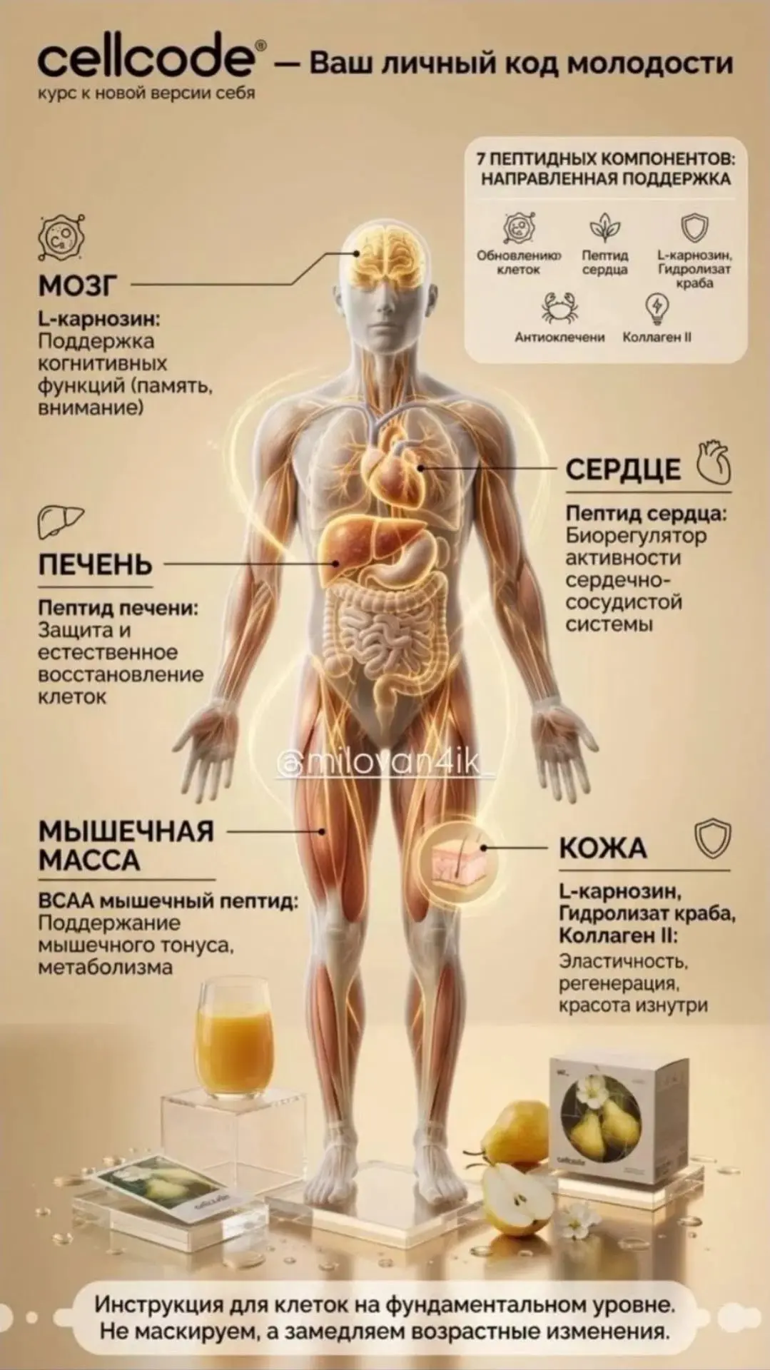 Как эти два продукта работают вместе💪