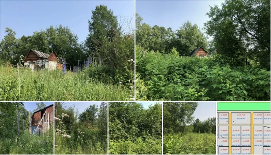Камчатский край, Елизовского район, СНТ «ПАРУС», район урочища Безврдного.