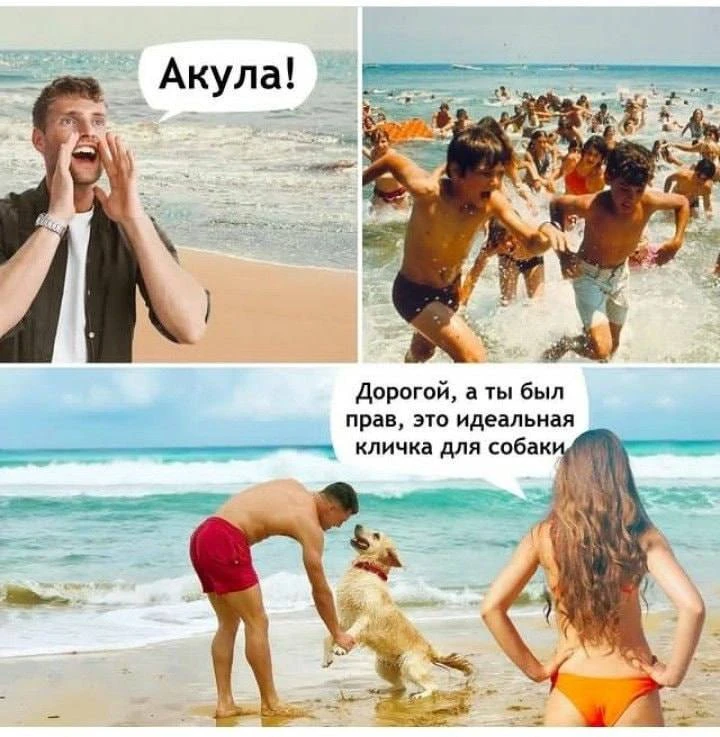 😂