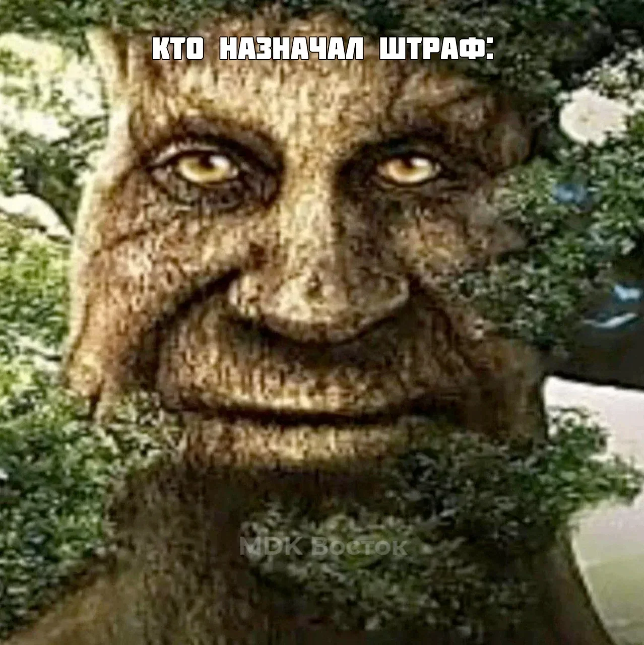 🌲 В Приморье мужчина лишился бульдозера за незаконную дорогу через лес