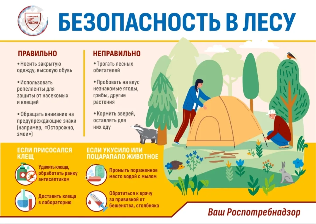 КЛЕЩИ. ЧТО ДЕЛАТЬ, ЕСЛИ ОБНАРУЖИЛИ НА СЕБЕ КЛЕЩА