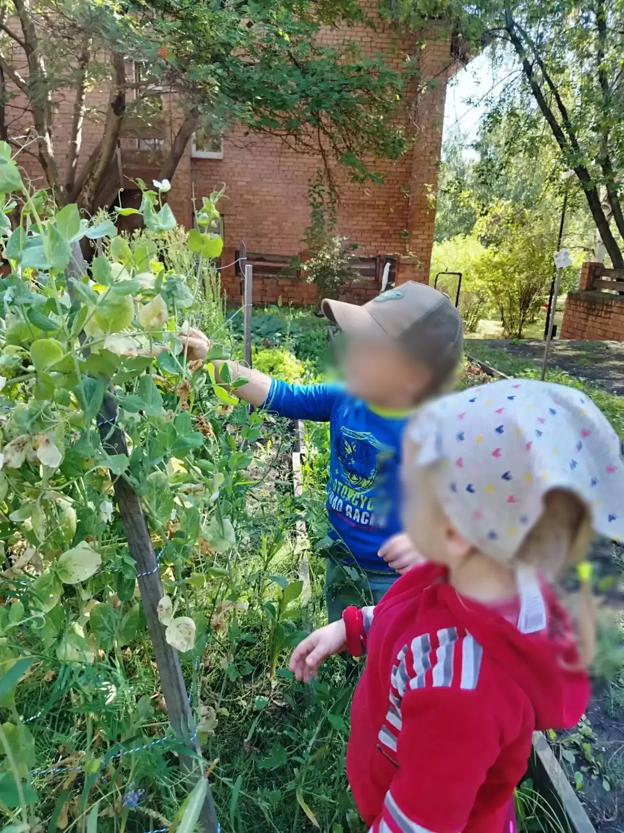 Познавательное приключение в огороде🌿