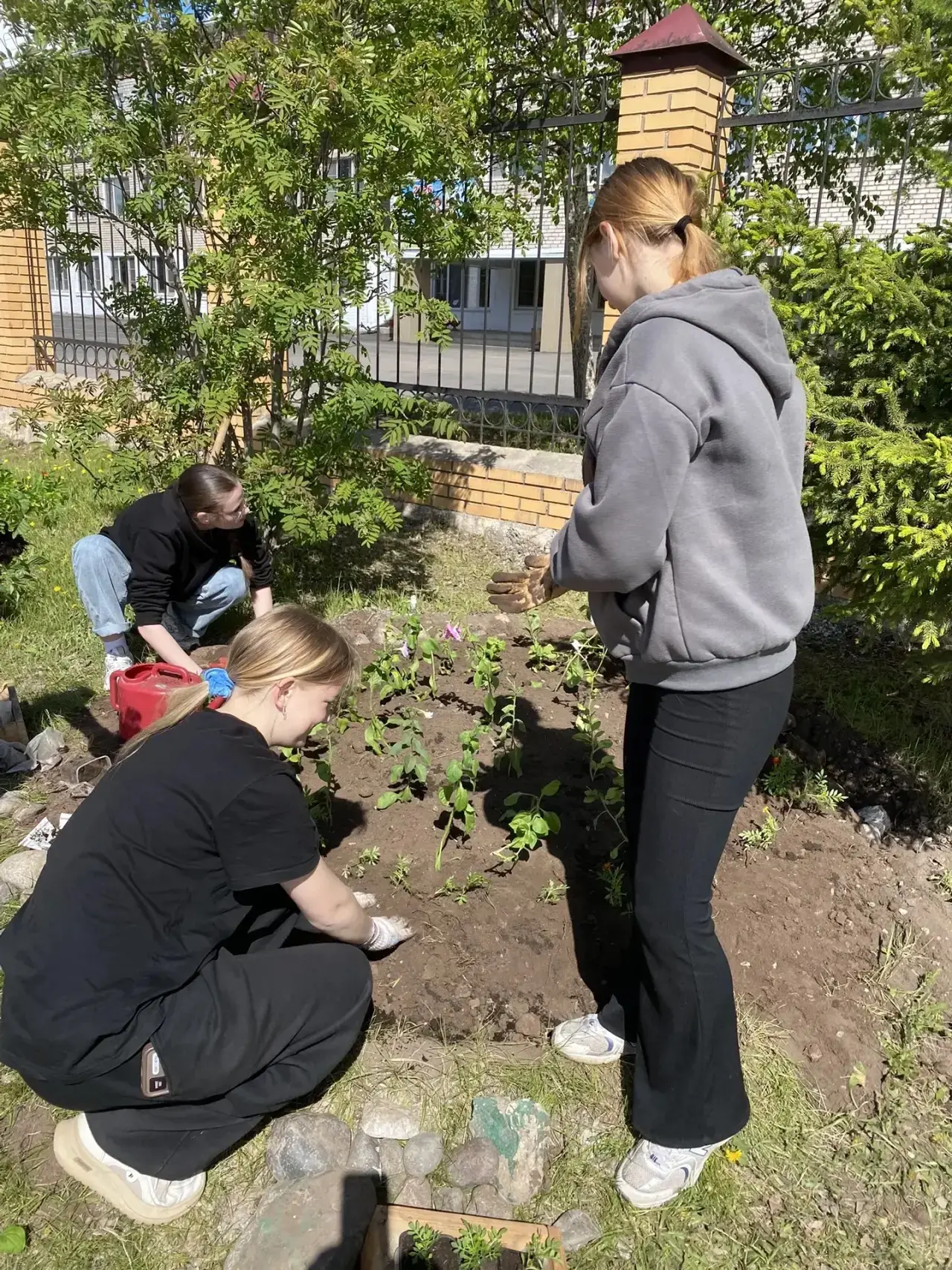 С первого июня у ребят началась пятая трудовая четверть 🌿☀️ Обучающиеся распределены н...