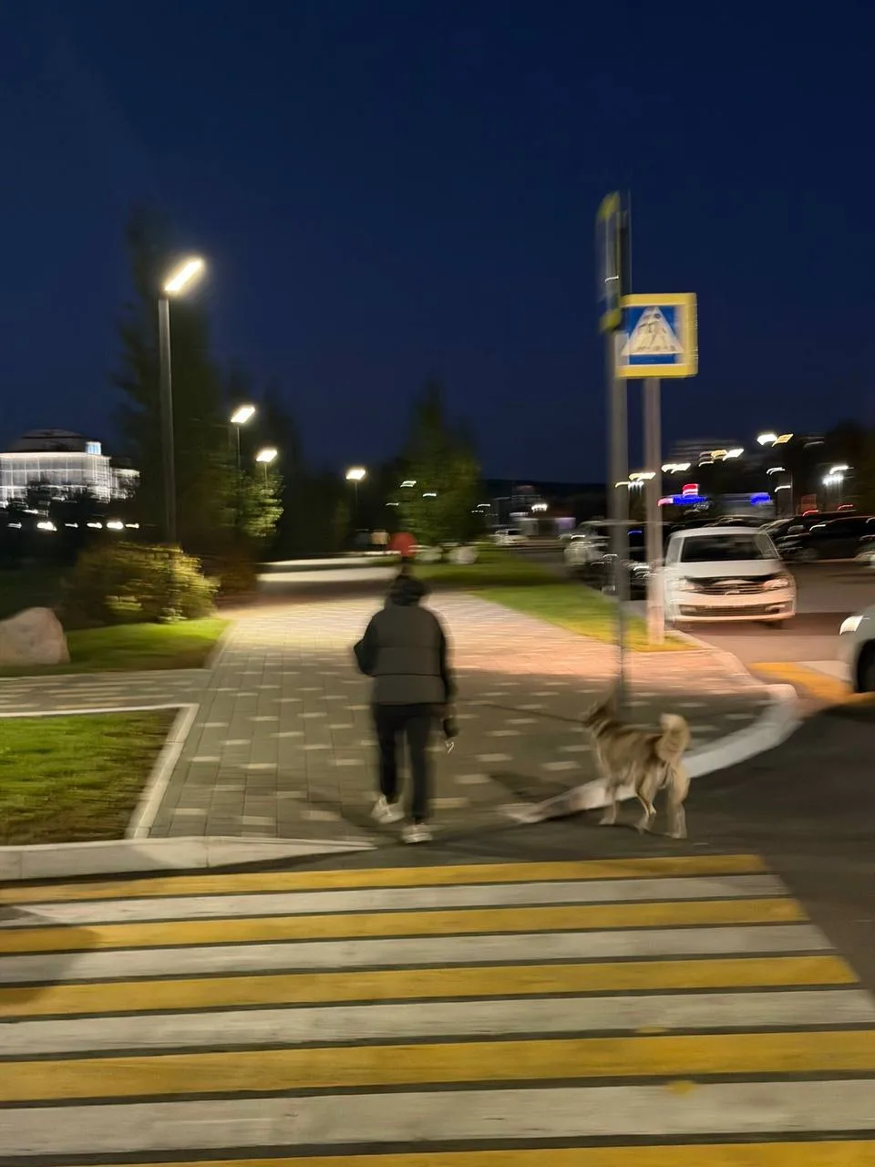 Хаски без поводка бросается на детей и собак