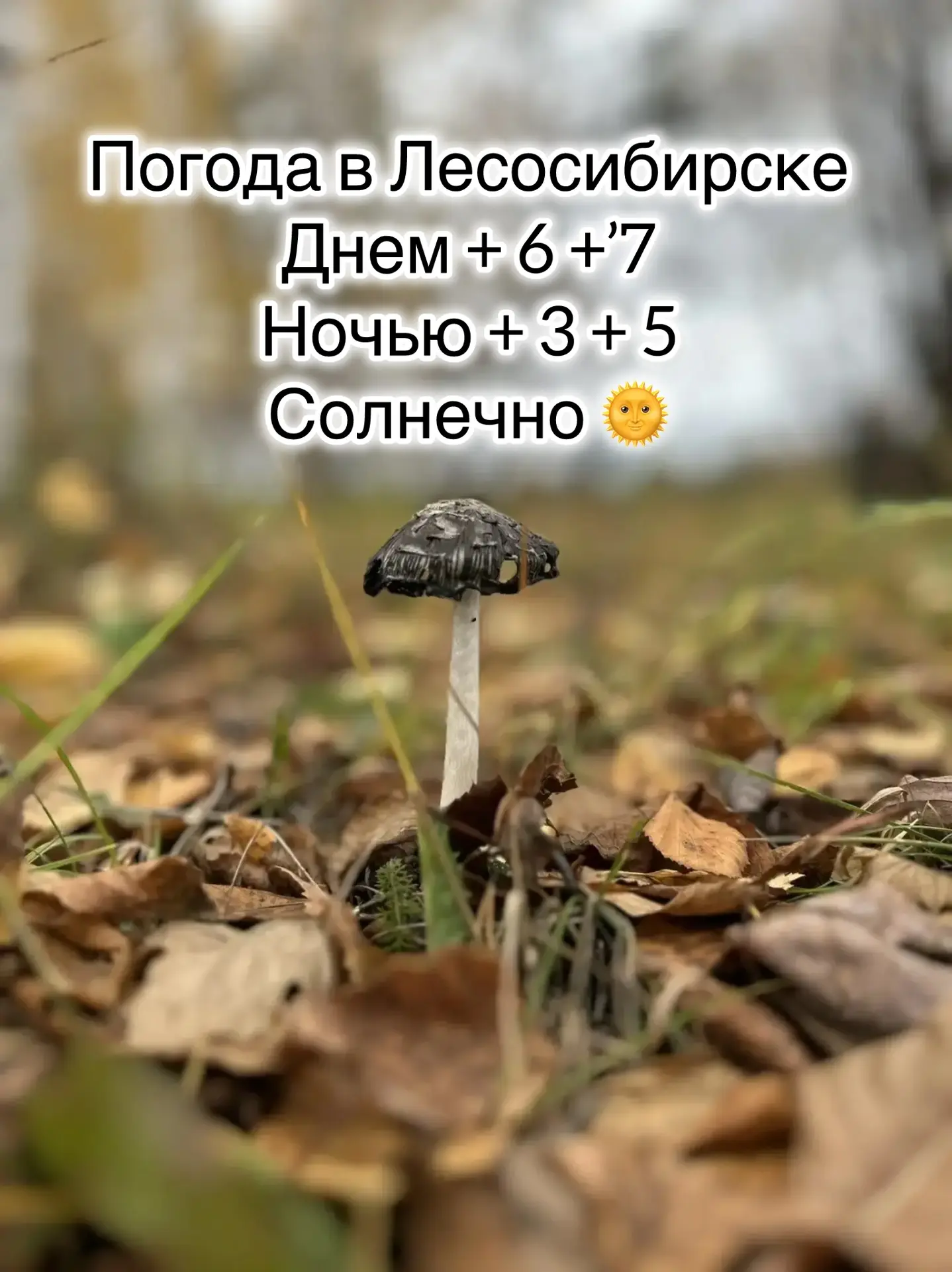 ☀️Доброе утро, друзья!