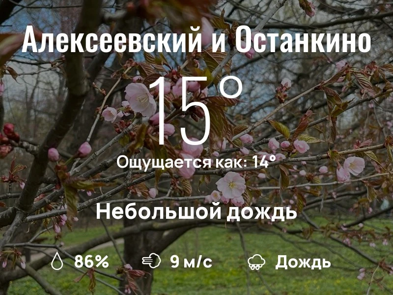 Что с погодой в районе ВДНХ?