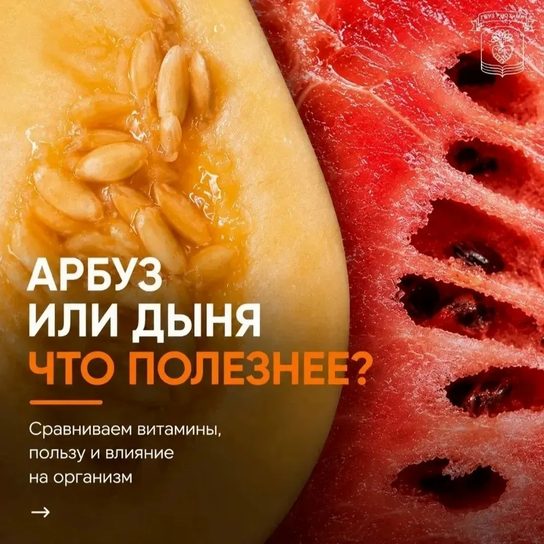 🍉 или 🍈? ВОТ В ЧЁМ ВОПРОС!

А что больше любите вы?