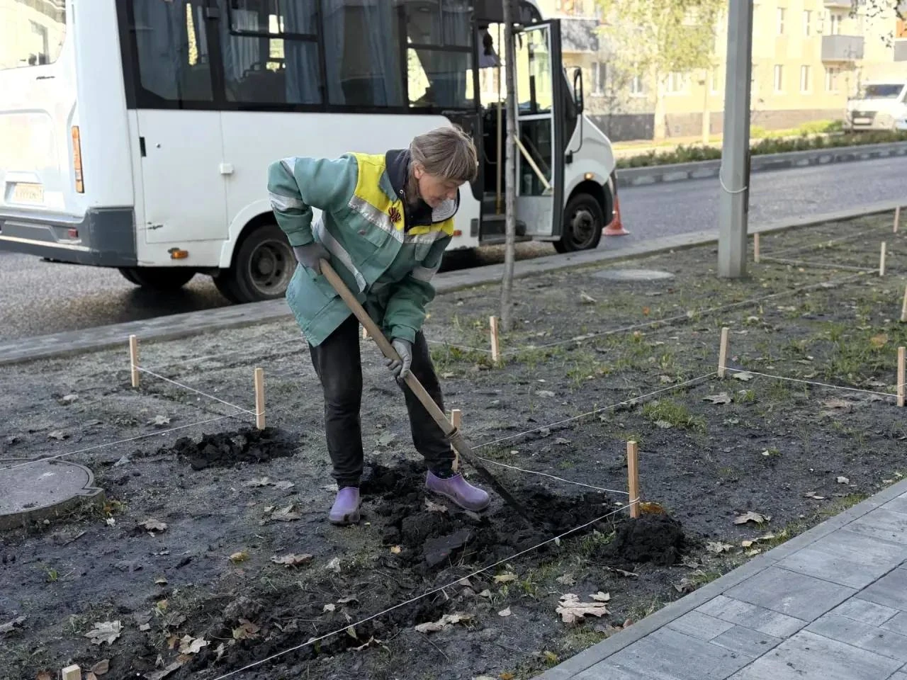 На ул. Николая Чумичова в Белгороде создают живую изгородь