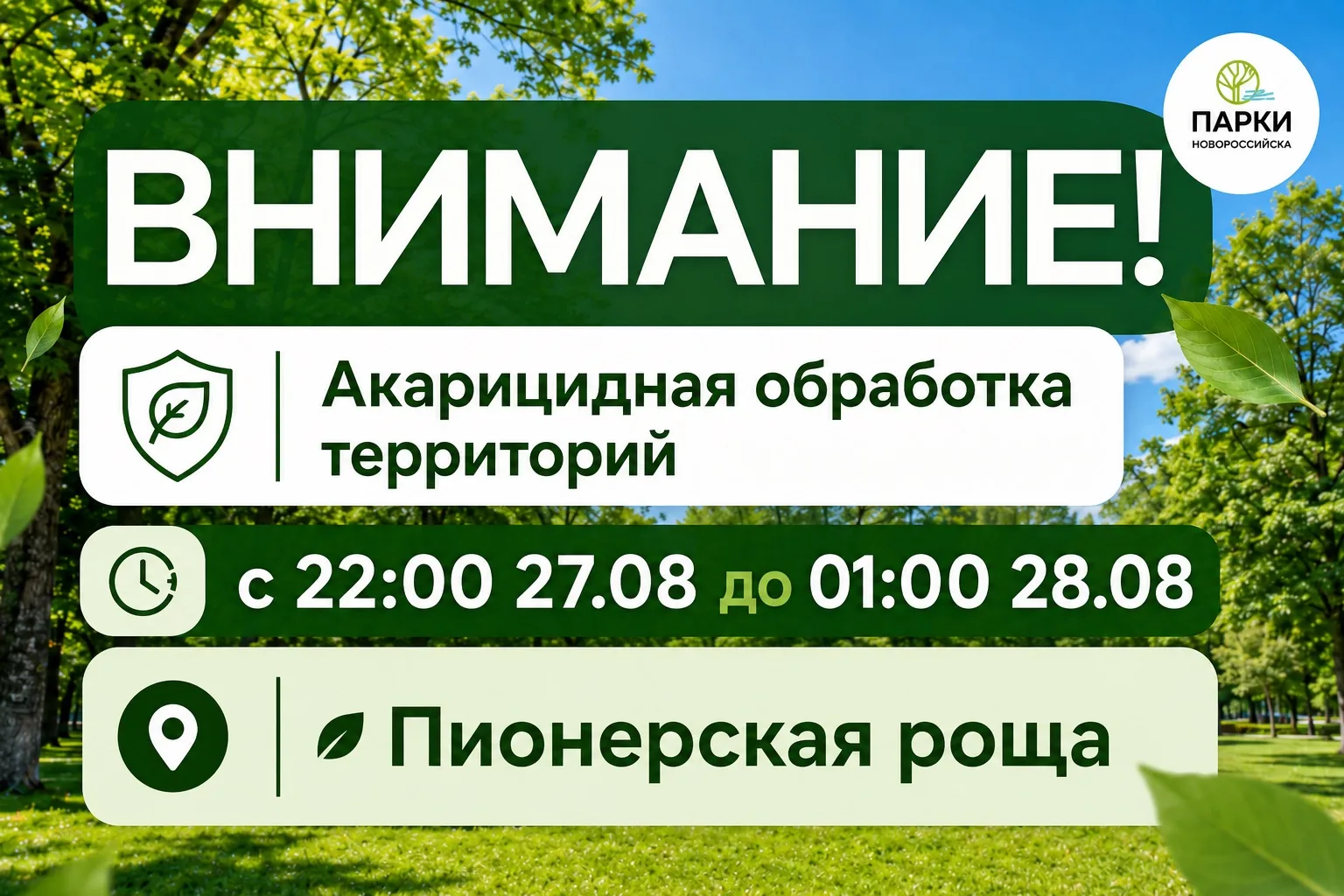 ‼️Внимание‼️