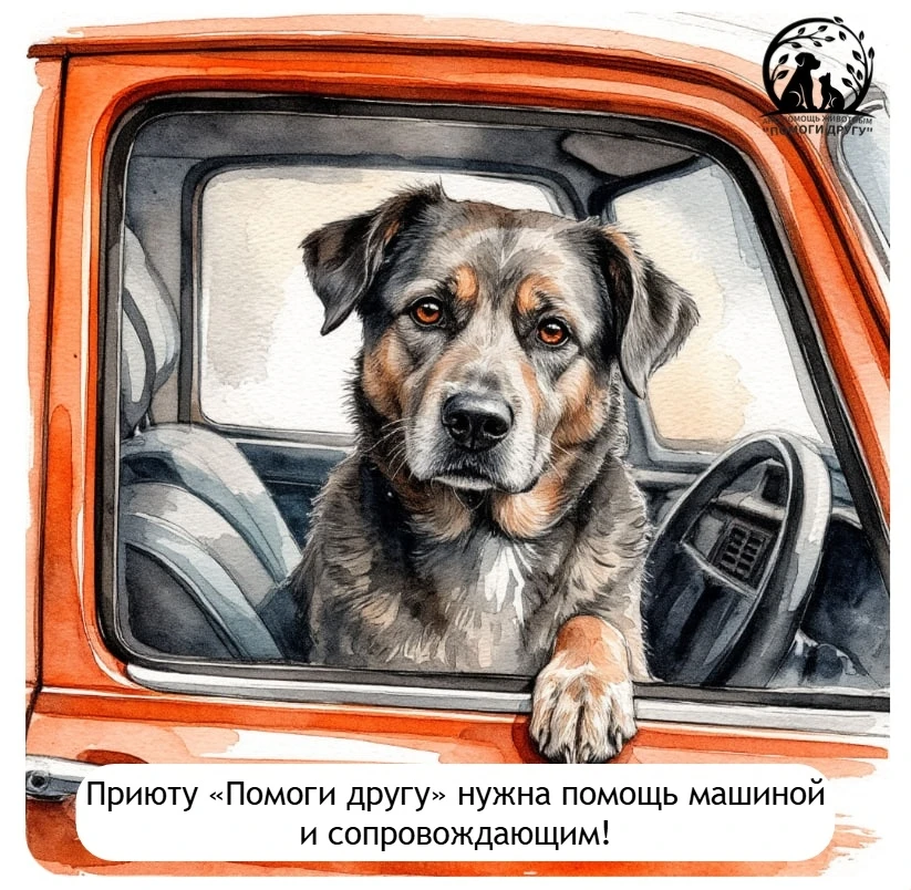 СРОЧНО!!!