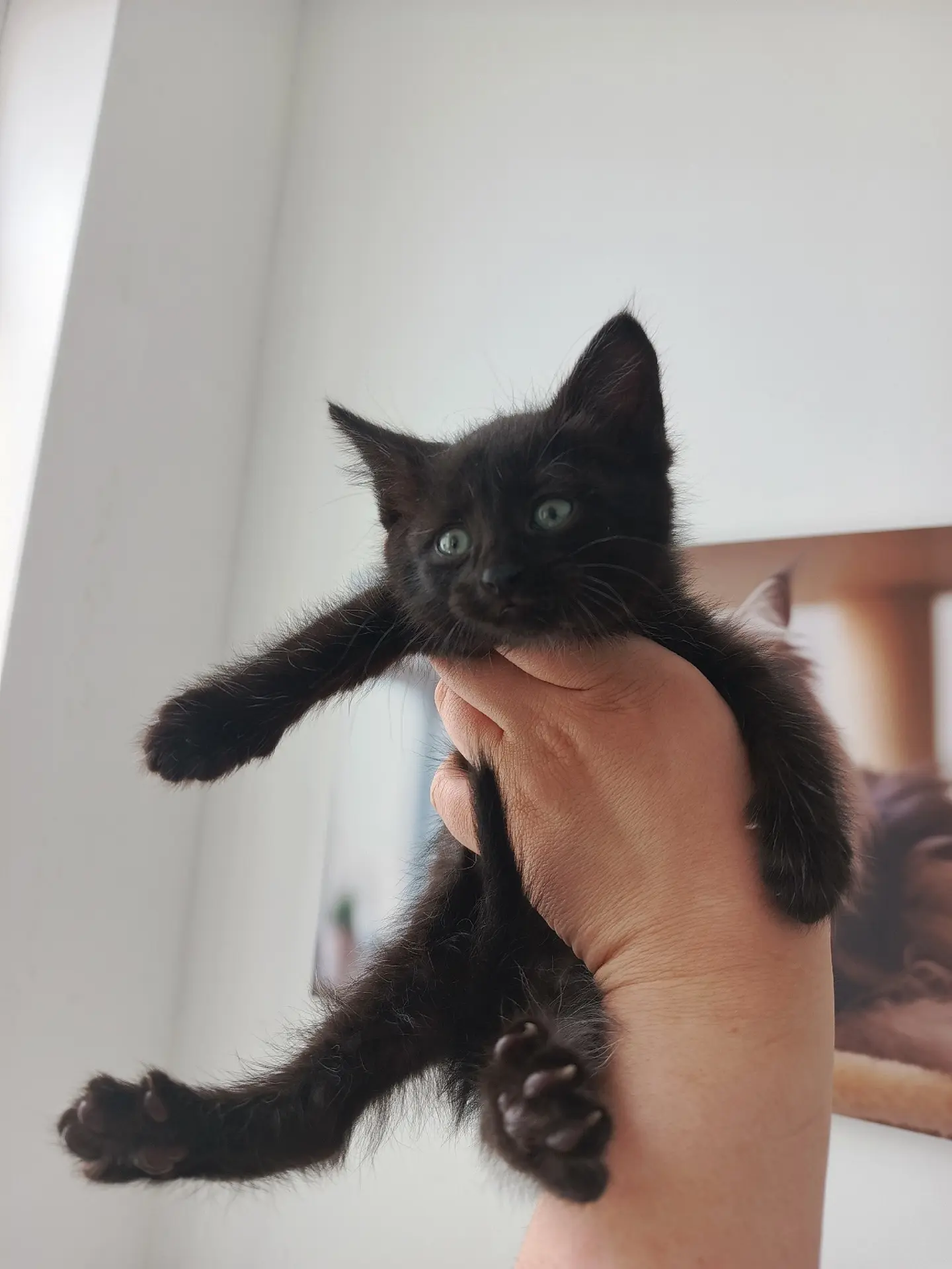 🐾 ИЩЕМ ДОМ МАЛЫШУ 🐾