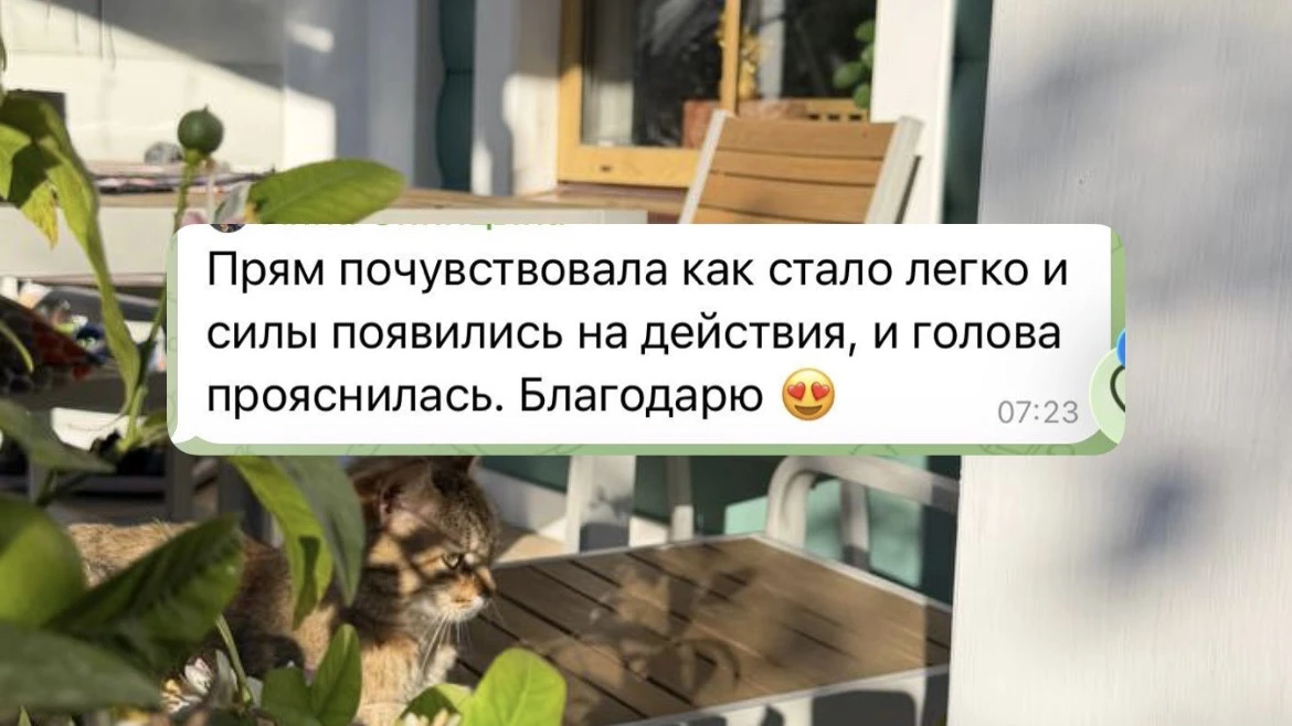 💫С НОВОЛУНИЕМ💫

Невероятно классный день, но совершенно не подходит для начинаний! Он создан, чтоб