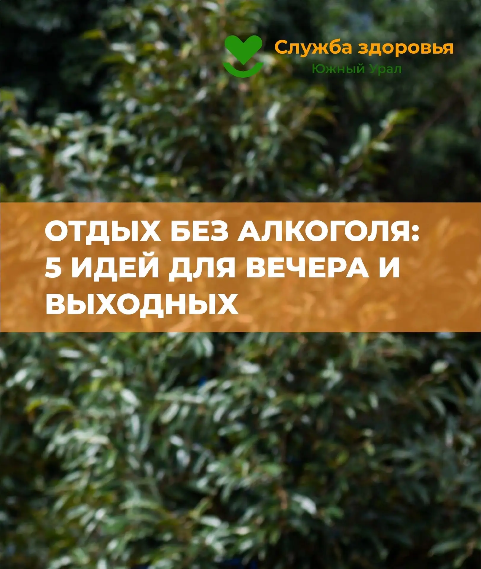 Челябинская область присоединилась к Неделе сокращения потребления алкоголя 📚💉
