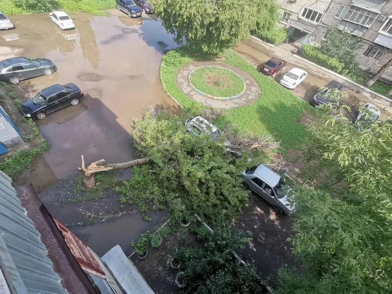 ‼В Оренбурге на Центральной упало трухлявое дерево и повредило два автомобиля

Жители заранее просил