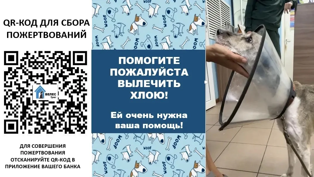 Хлоя всё еще в стационаре. Лечение продолжается 😭