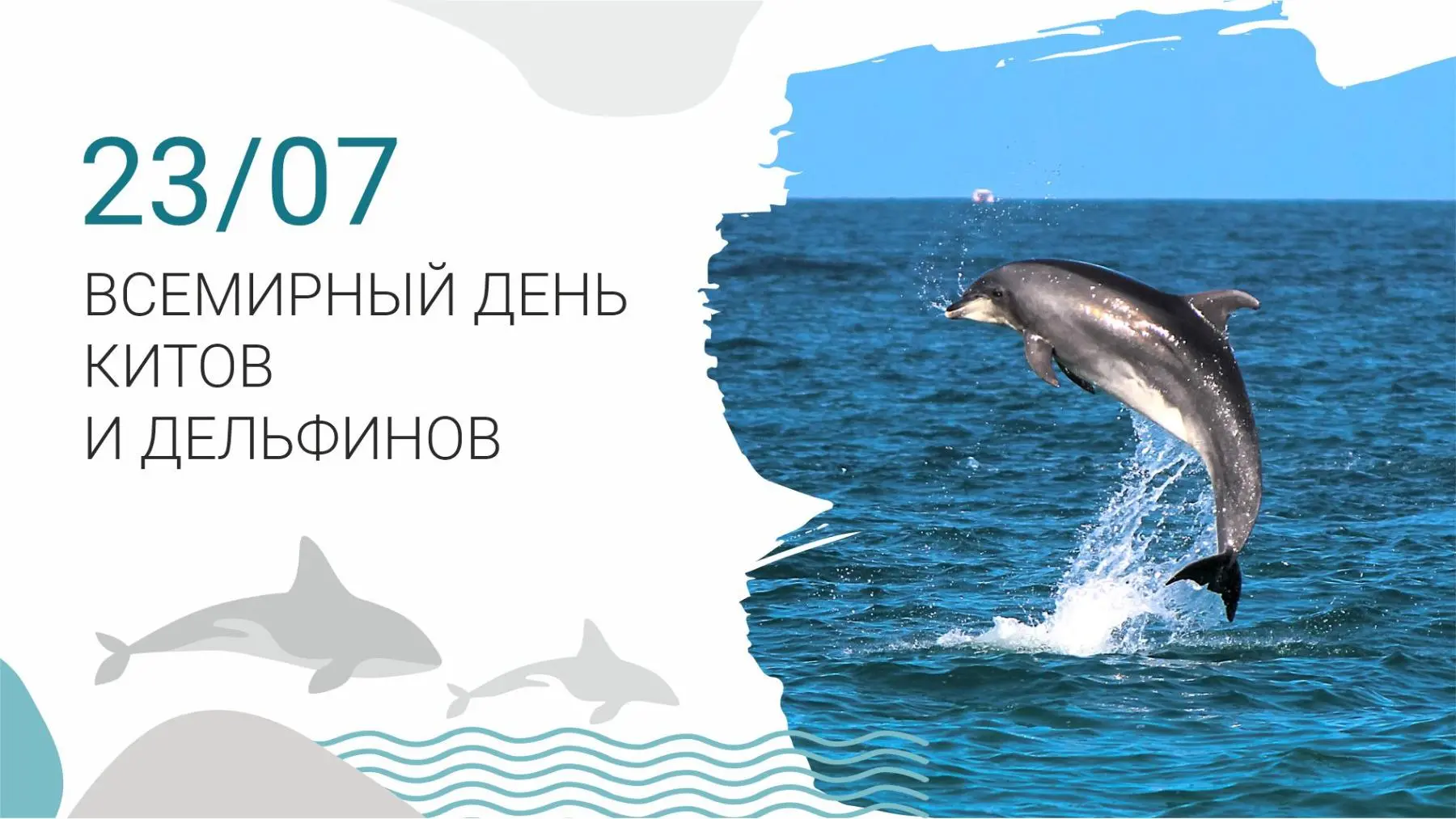 Всемирный день китов и дельфинов отмечают 23 июля. 

Праздник учредили в 1986 году. А вот сама истор