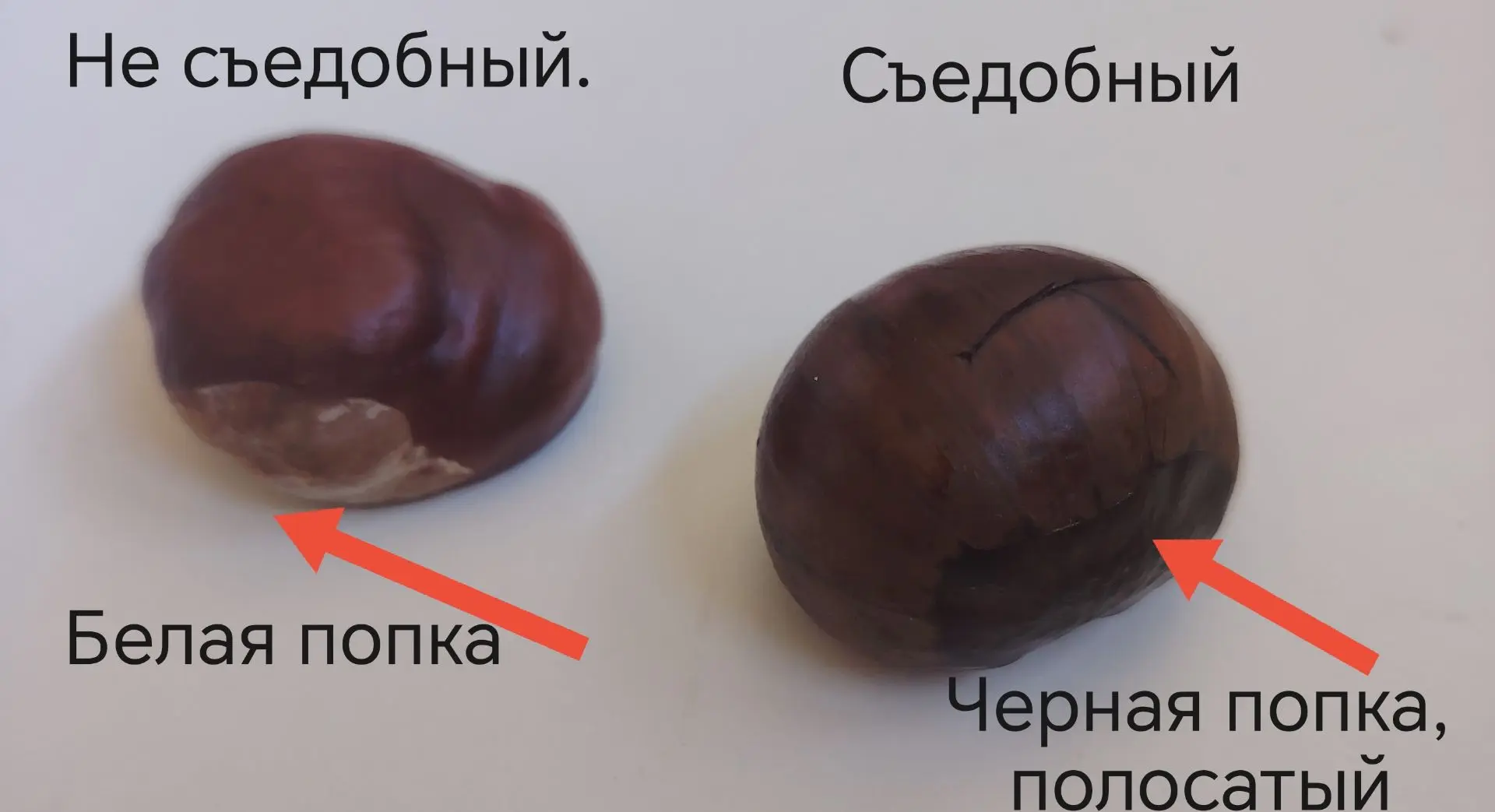 Любите ли вы жареные каштаны как люблю их я?! То есть всеми силами души вашей, со всем ...