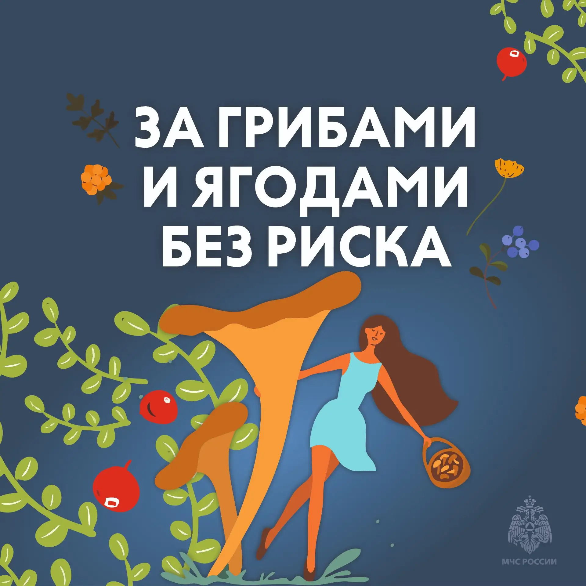 🍄 В лесах Тверской области — ягодно-грибной пик!