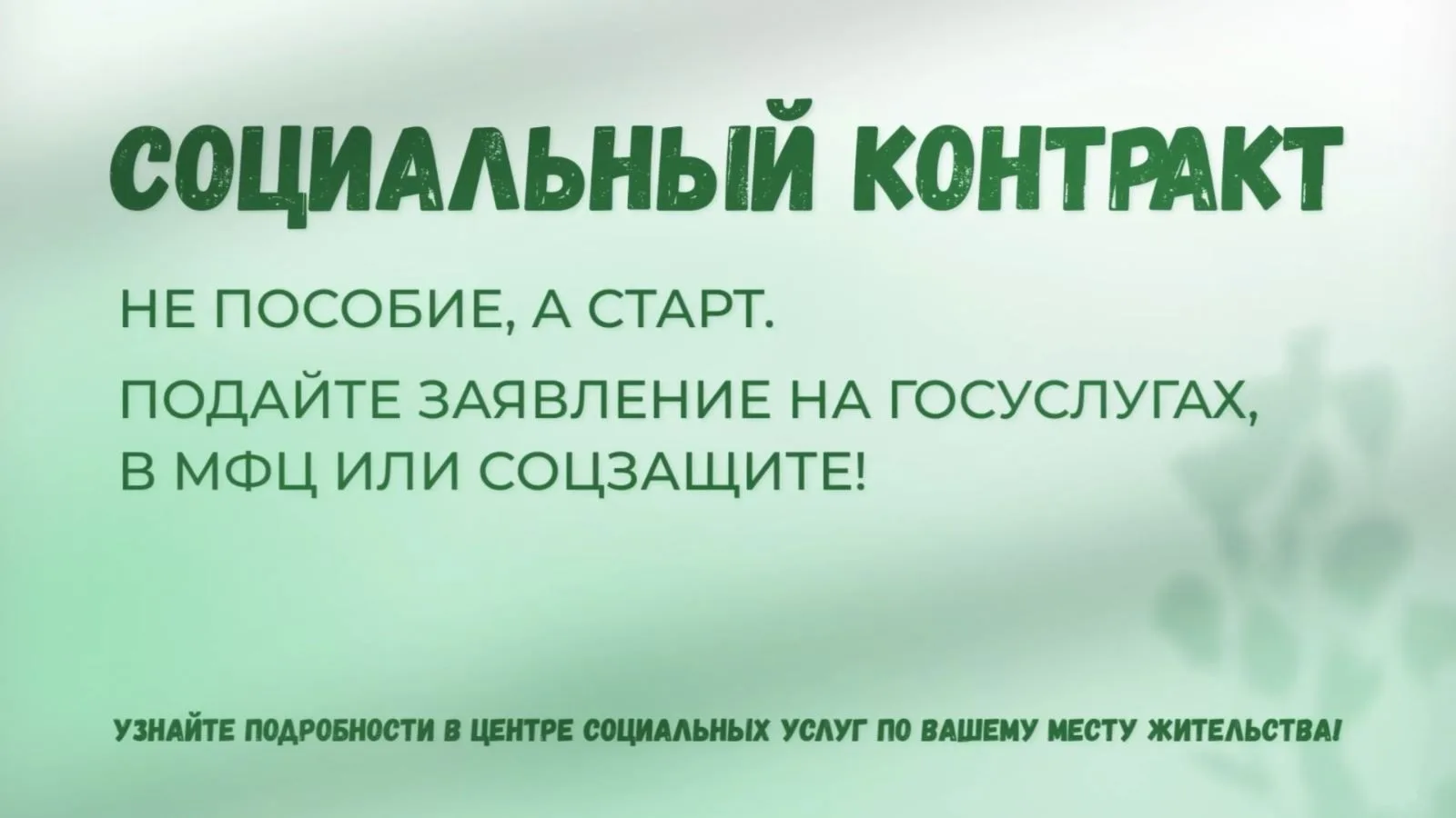 В рамках реализации программ нацпроекта «Семья» жители города Рассказово могут получить...