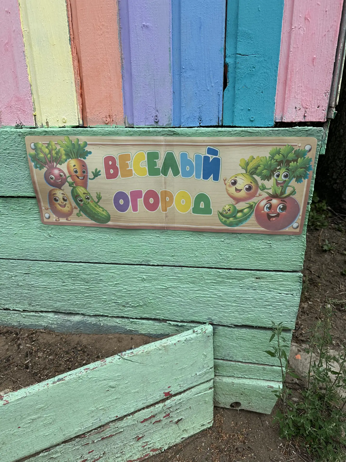 🍅 «Во саду ли, в огороде» — неделя урожая стартовала! 🥒