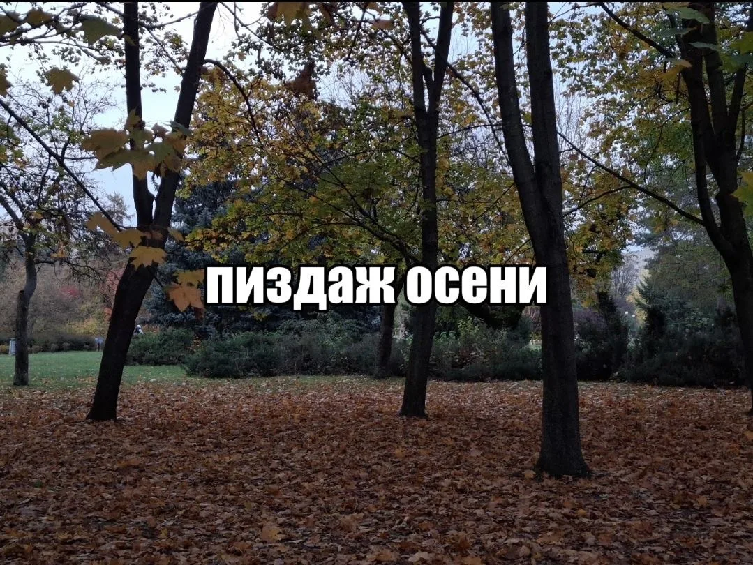 Легендарный……