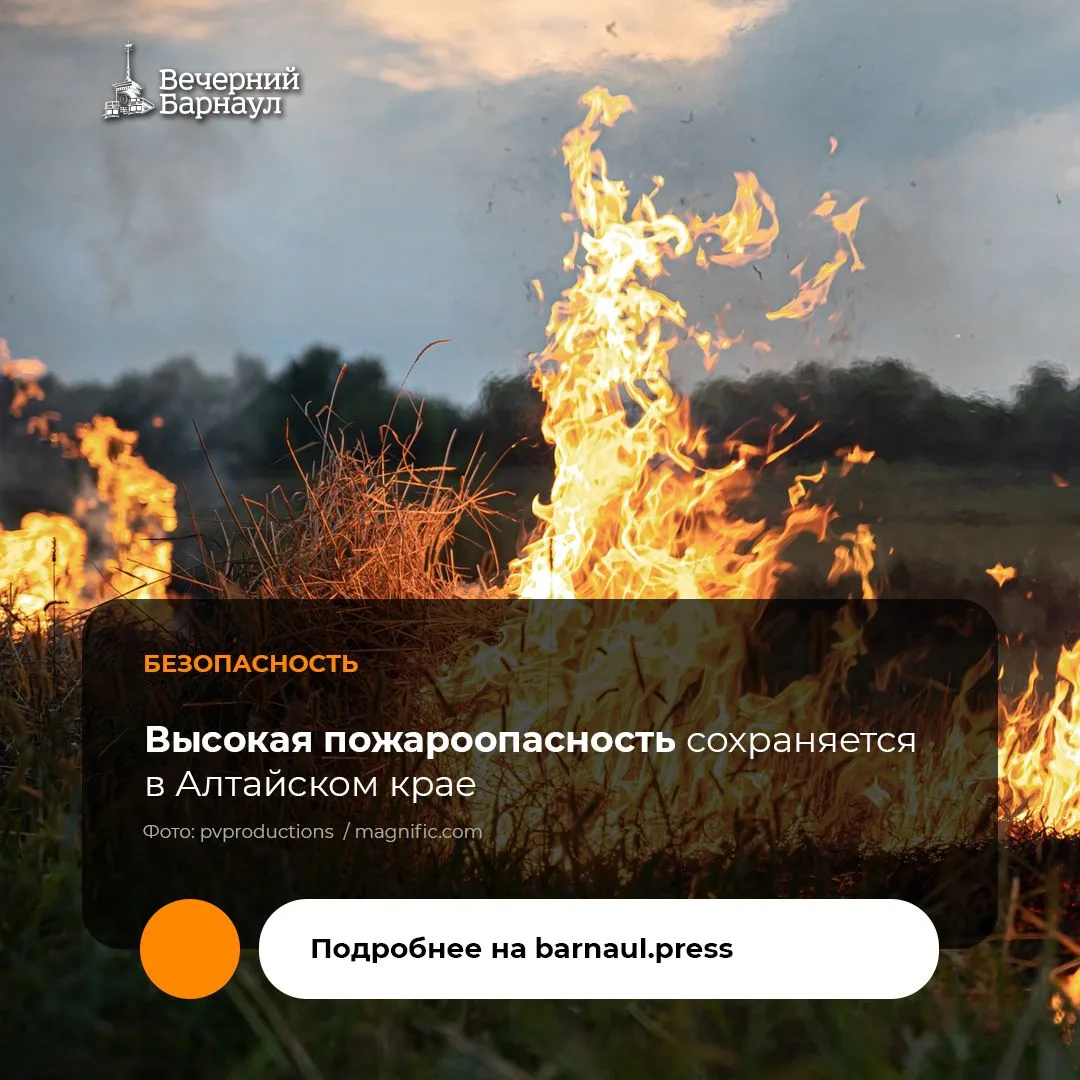 Четвёртый и пятый класс горимости прогнозируются в Алтайском крае с 7 по 10 октября 202...