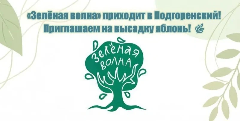 Всероссийская акция «Зелёная волна»: наши восьмиклассники внесли свой вклад!