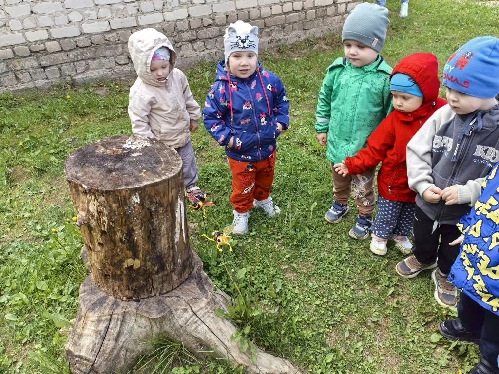 🐝 **Путешествие в мир пчёл!** 🚂