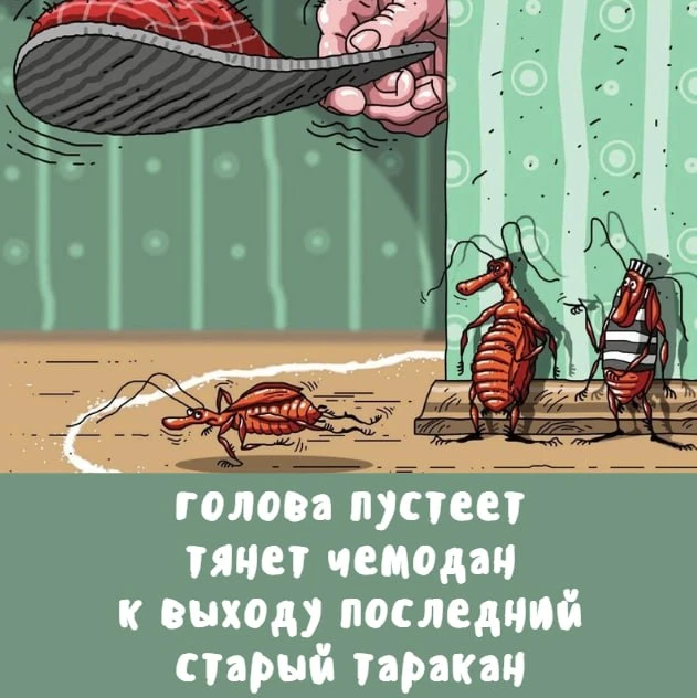 🪳 Тараканный депрестишок

Депрестишки