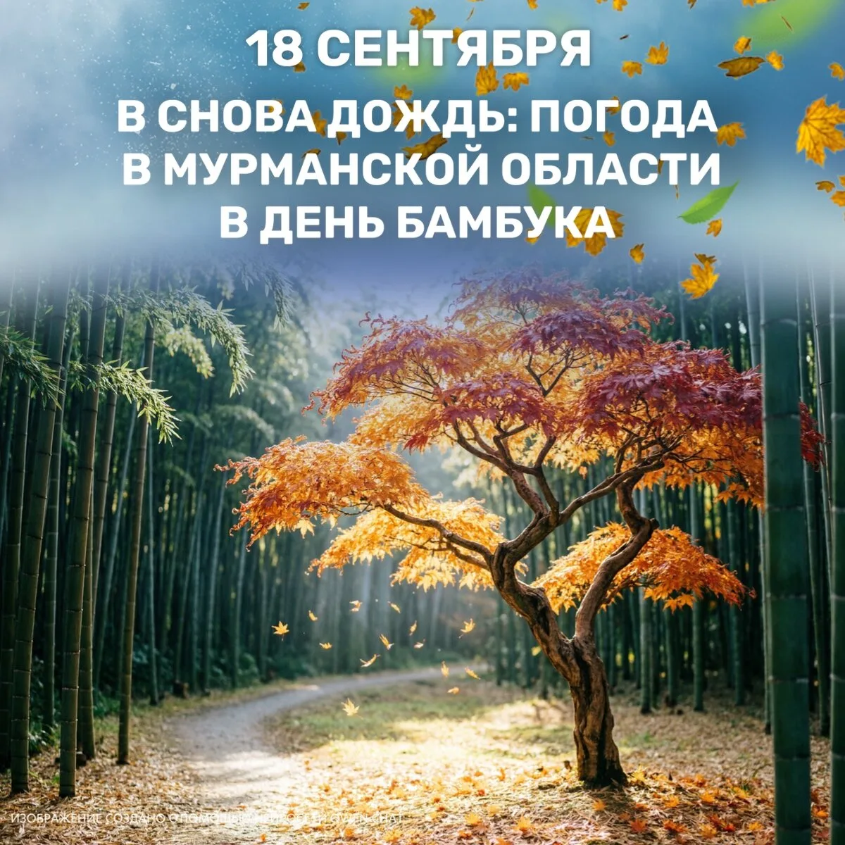 🎋 В Кольском Заполярье 18 сентября, в День бамбука и День кленового листа, синоптики п...