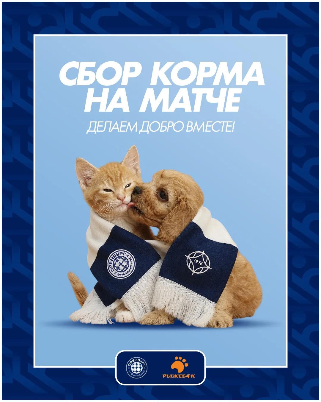 Делаем добро вместе! 🐶