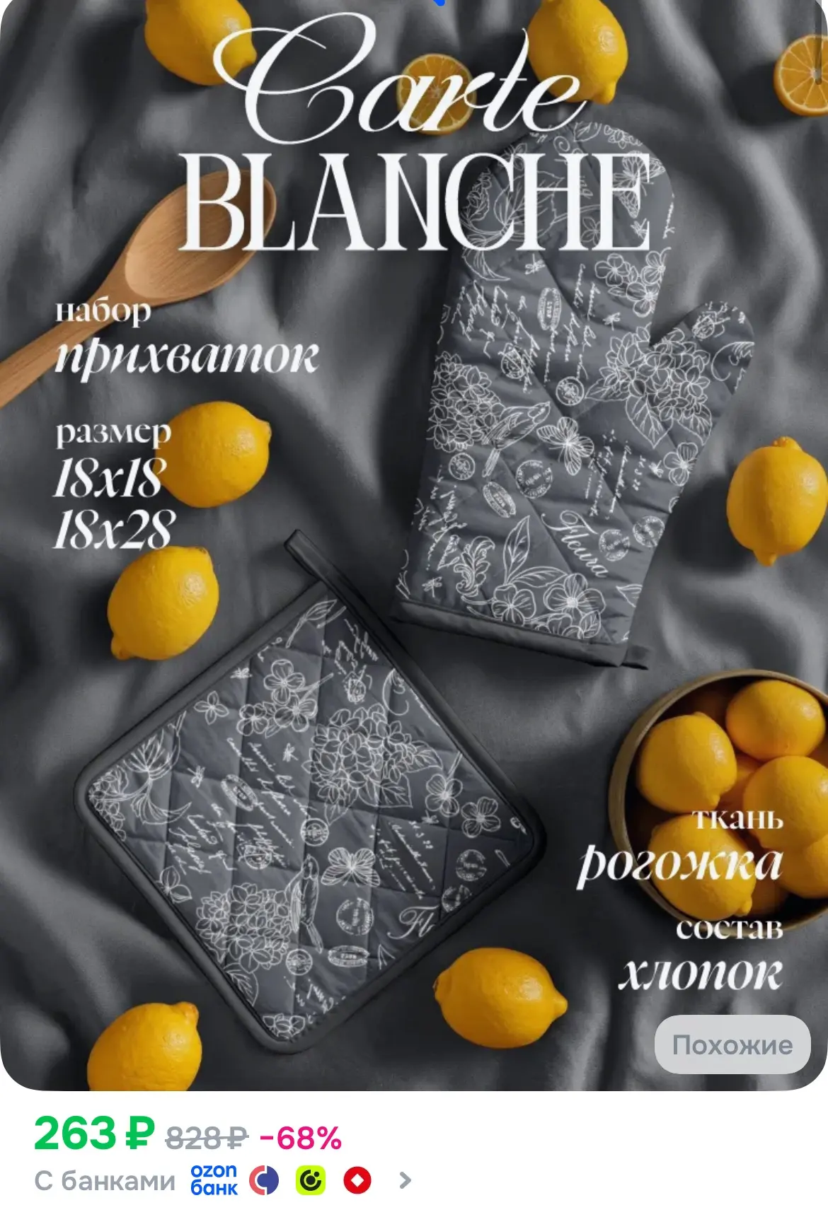 Carte Blanche Прихватки для кухни набор: рукавица 18x28 и прихватка 18x18 см рогожка гр...