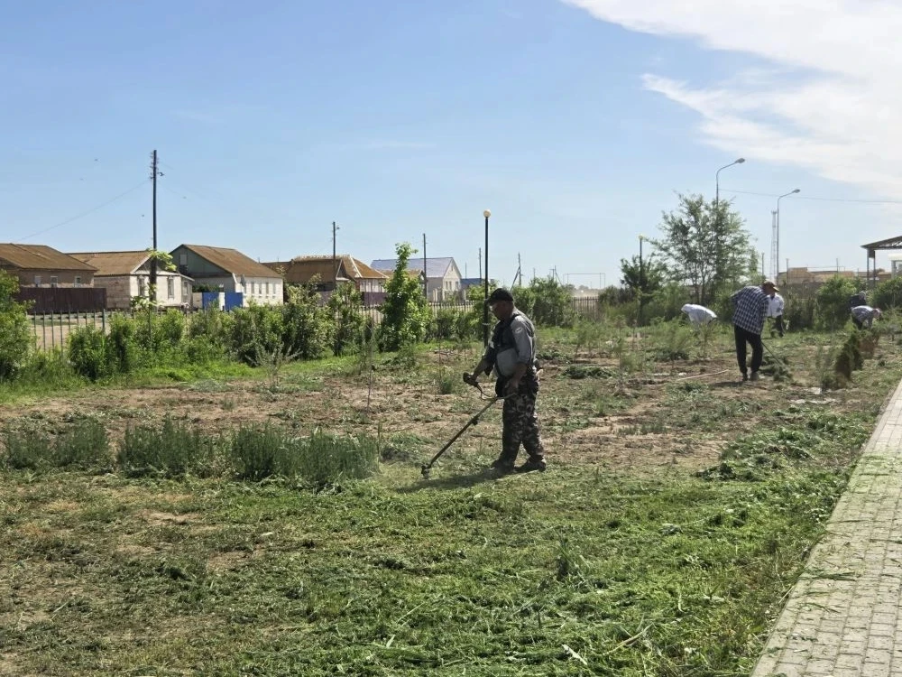 В селе Калинино состоялся масштабный субботник, направленный на благоустройство парка  🌿В ходе мероп