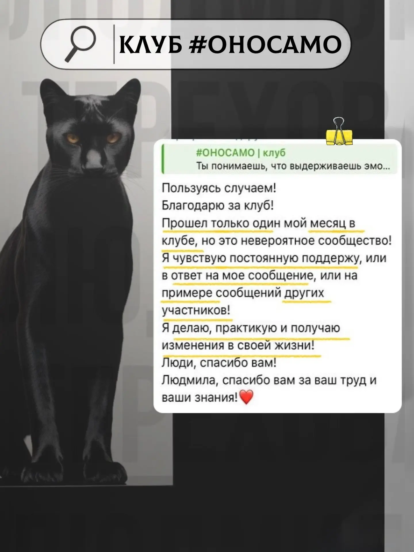 Глубина — это не то, сколько ты понял, а сколько изменил.