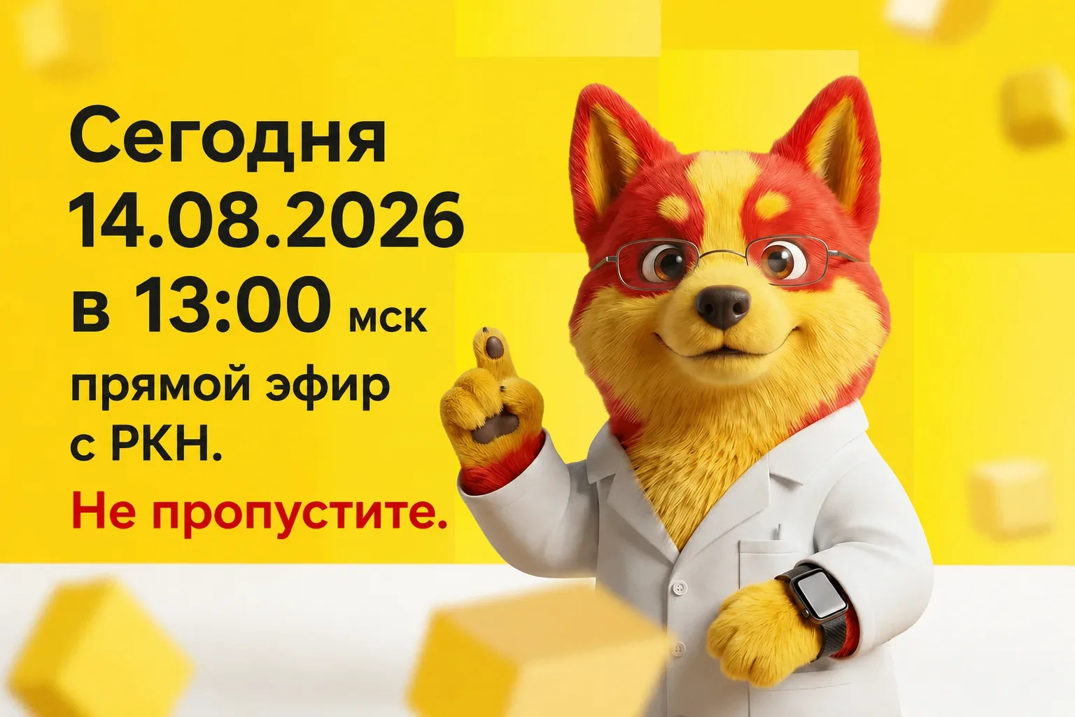 Напоминаем: сегодня День открытых дверей Роскомнадзора! 📢