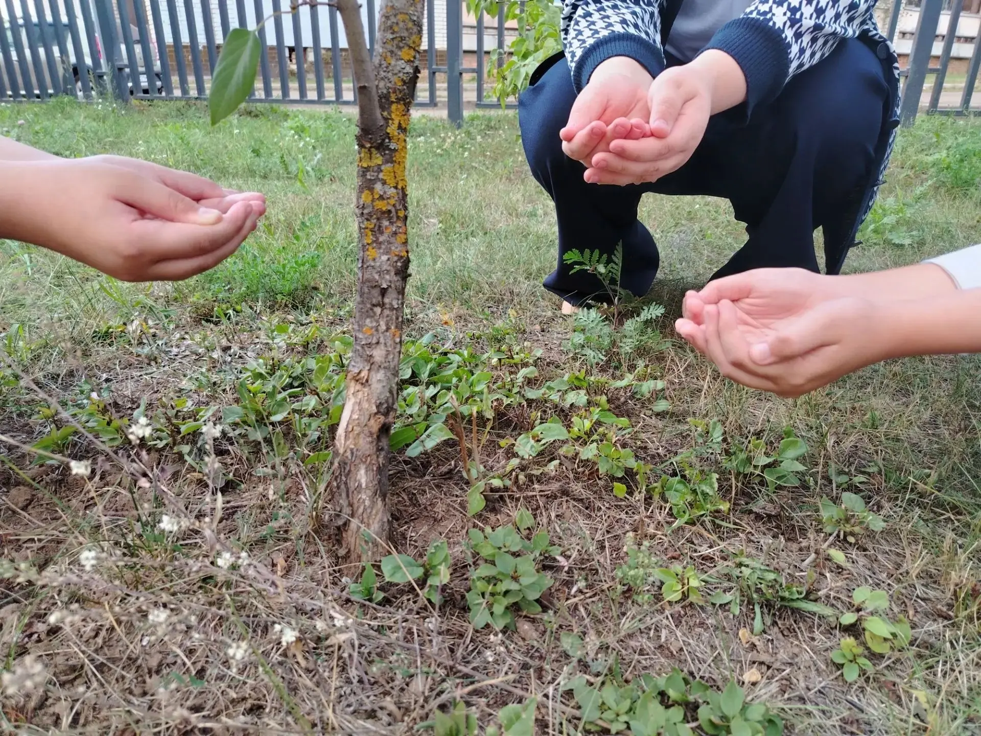 [КАПЛЯ ЖИЗНИ]