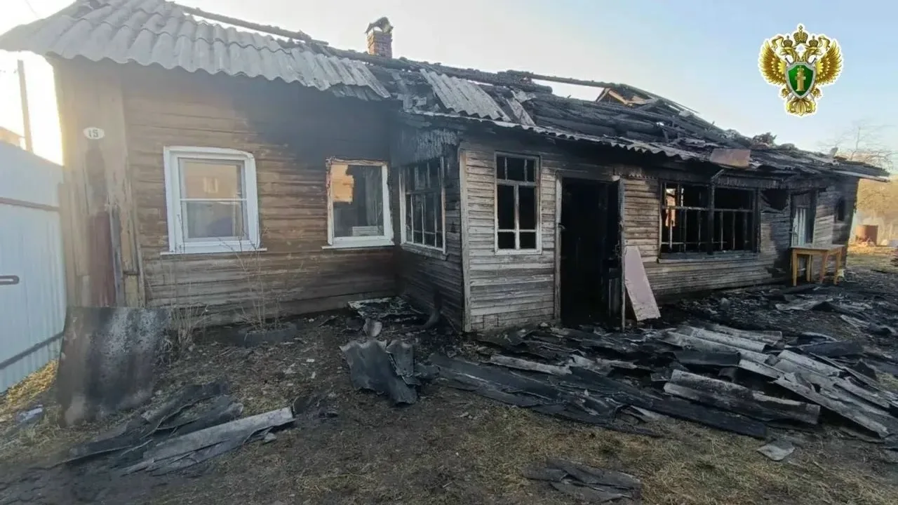 Жительница Вельска признана виновной в причинении смерти по неосторожности малолетнему сыну 

Собран