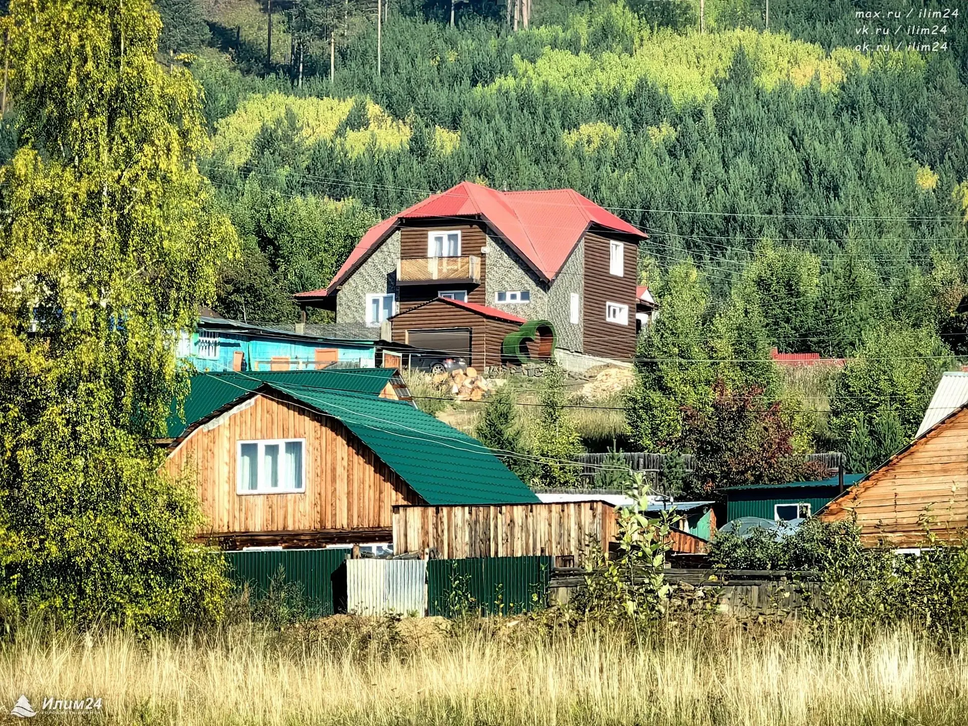 Внимание, снова медведь на территории города! 🐻