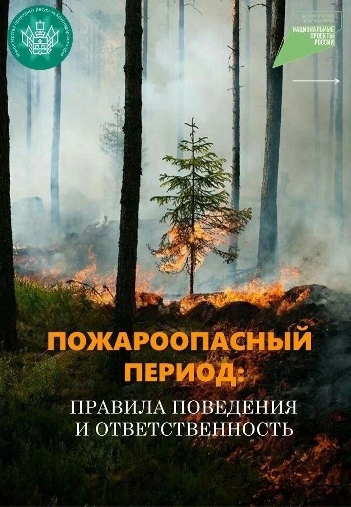 Правила поведения и ответственность