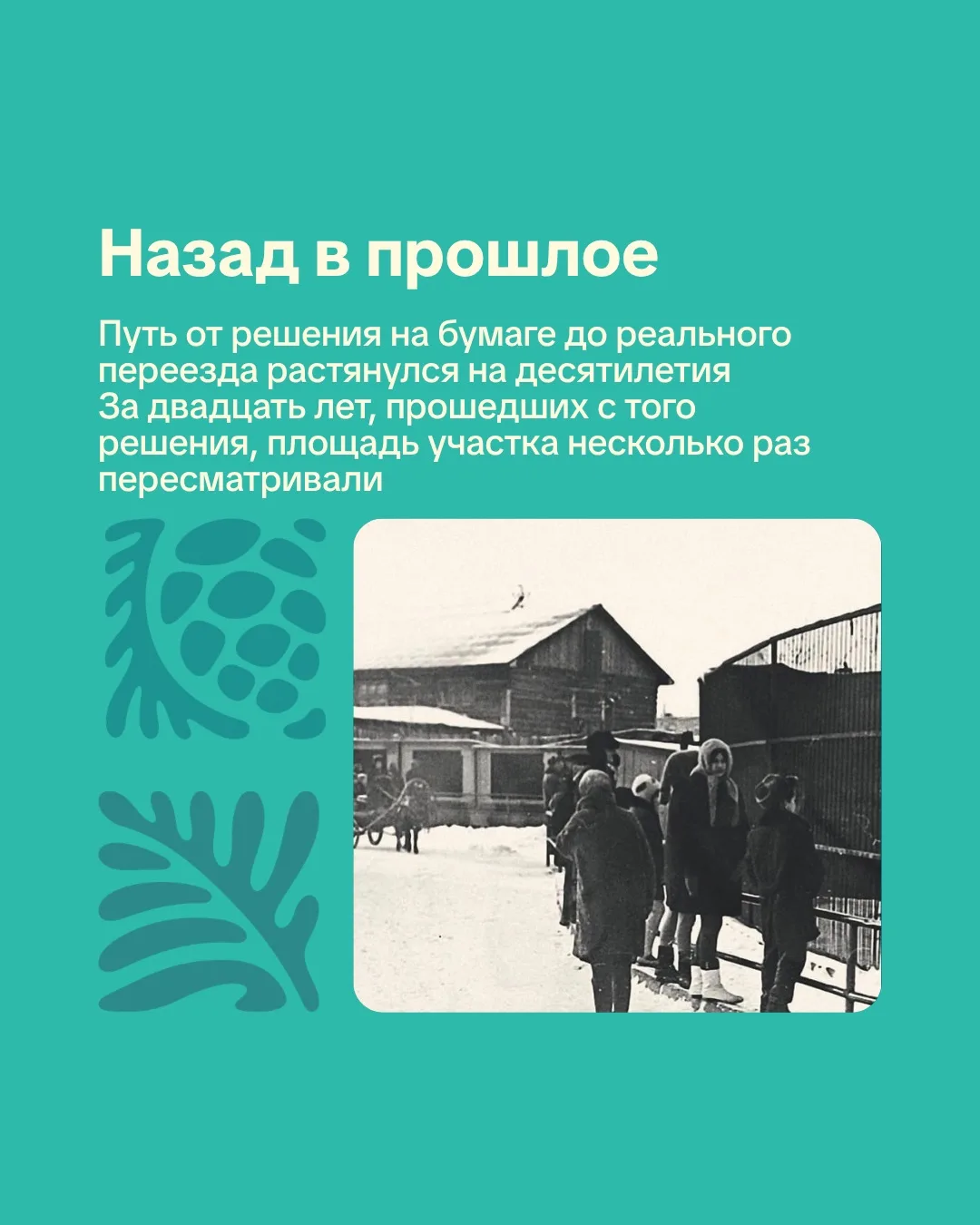 Новосибирский зоопарк. День в истории.