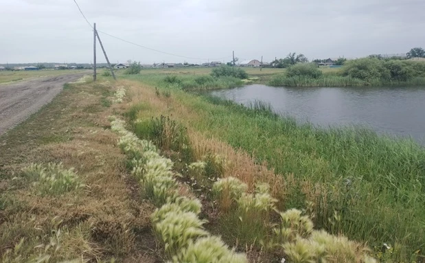 Издавна люди селились у воды… Вода как источник жизни, удовлетворяла все их жизненные п...