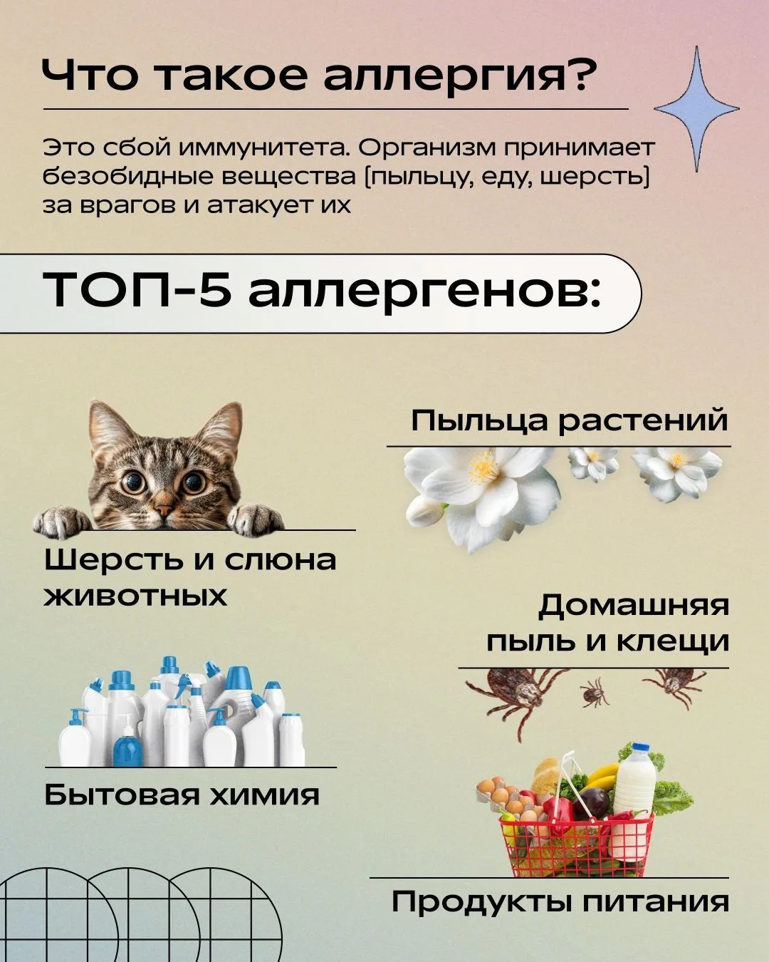 С каждым годом аллергия становится всё более распространённой проблемой — с ней сталкиваются и взрос