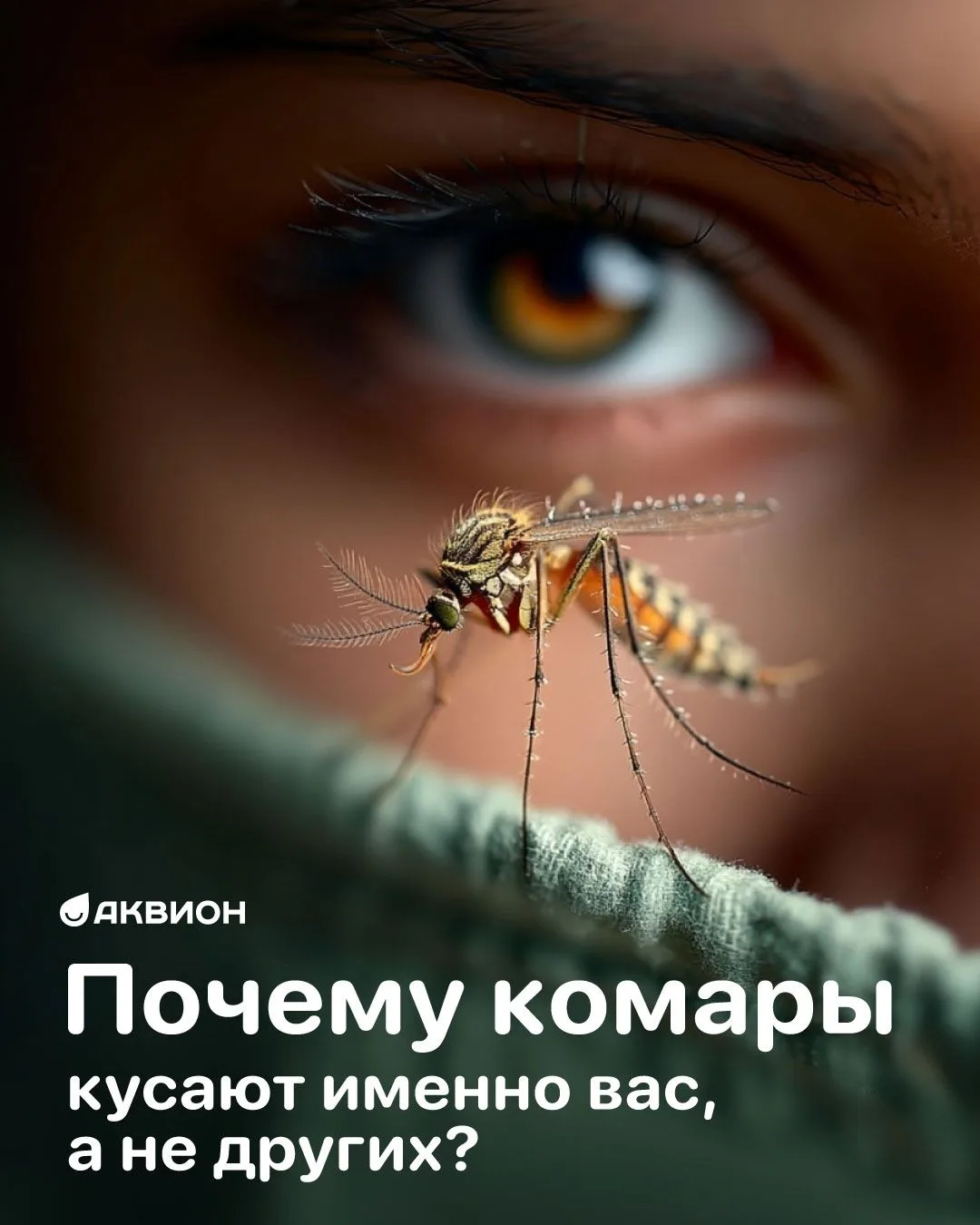 📌Почему комары кусают именно вас, а не других?

Комары и в самом деле чаще кусают каких-то определе